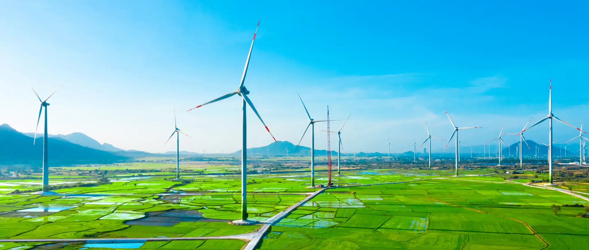 Banner Trang Chủ 5