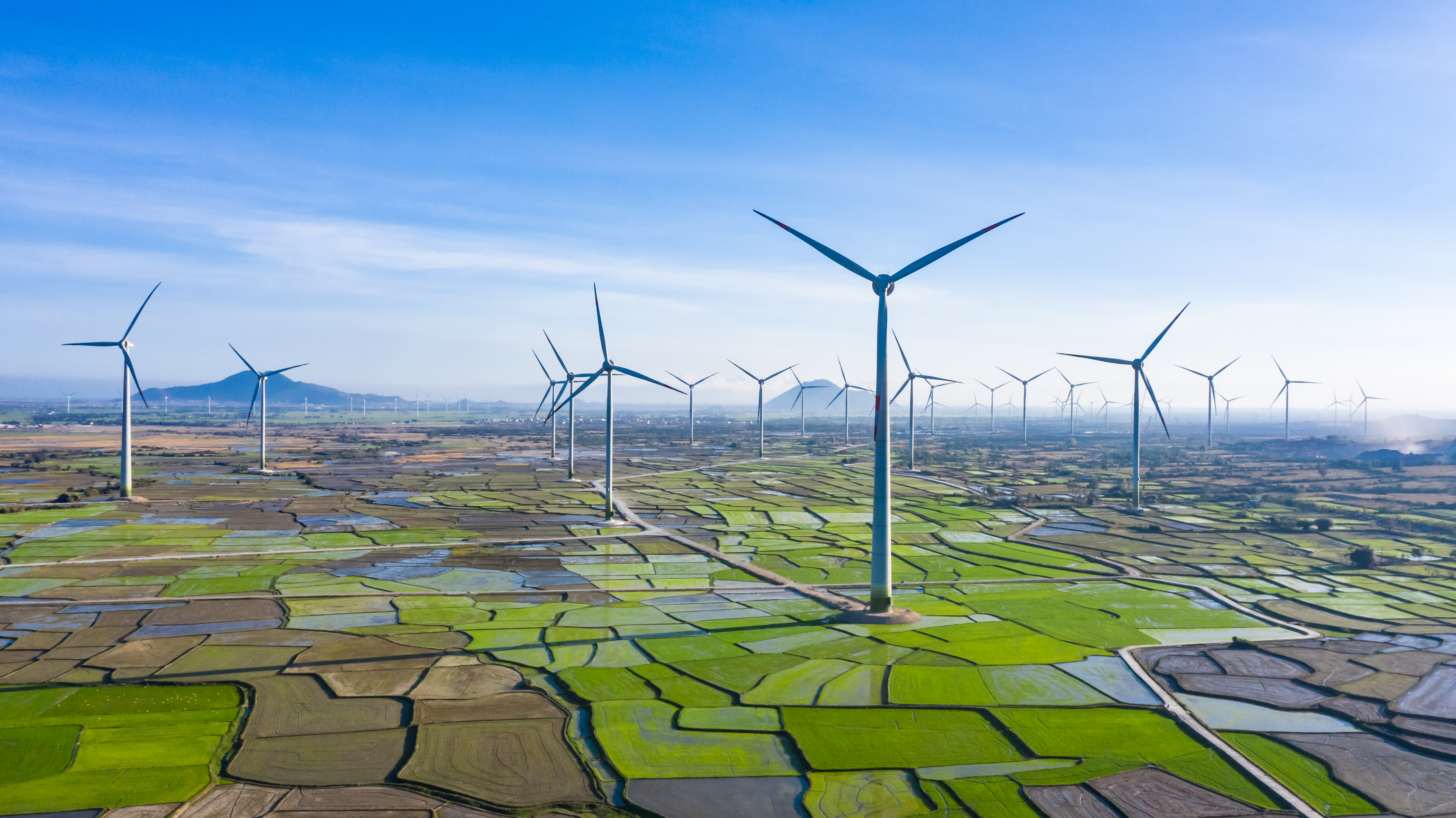 LOOKING BACK ON 2021 OF TRUNGNAM GROUP